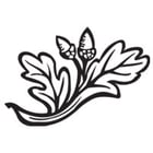 DOML-Logo-Email
